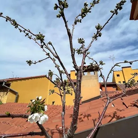 Apartamento Margherita W/ Terrace