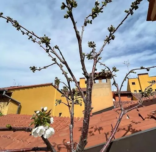 아파트 Margherita W/ Terrace