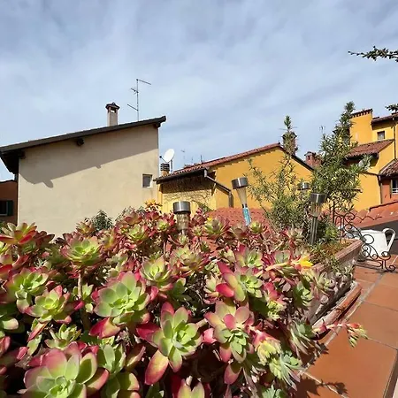 Margherita W/ Terrace Appartement